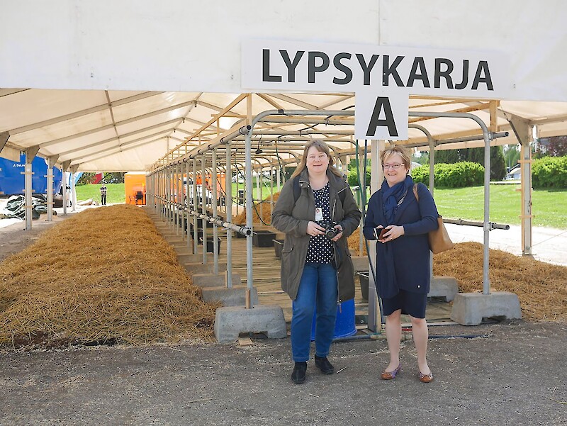 Kaksi naista maatalousnäyttelyn lypsykarja-alueella